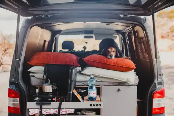 RAXO BASE Camperbox - Afbeelding 11