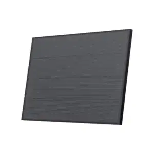 EcoFlow 175W zonnepaneel met bevestigingsbeugels