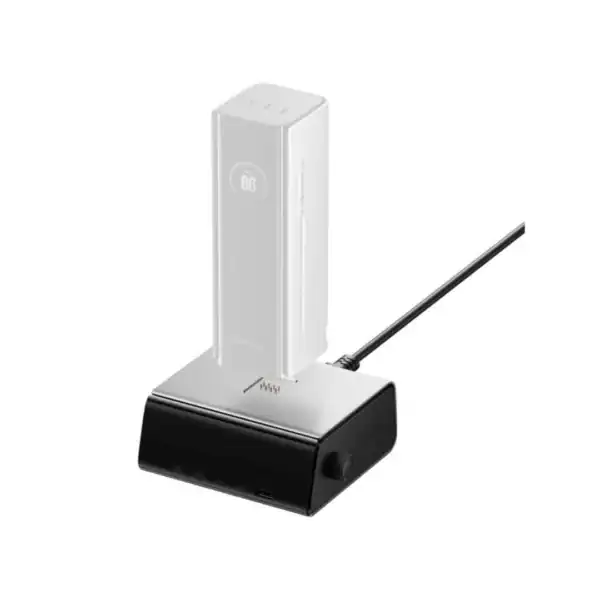 ecoflow pogo pin powerbank