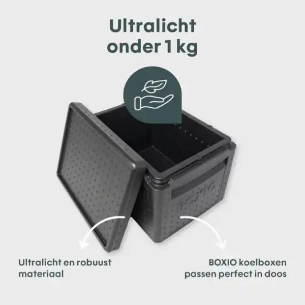 boxio cool plus icebag